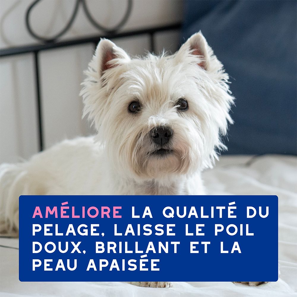 Bouteille de shampooing Douxo Spa avec pompe, 250ml.