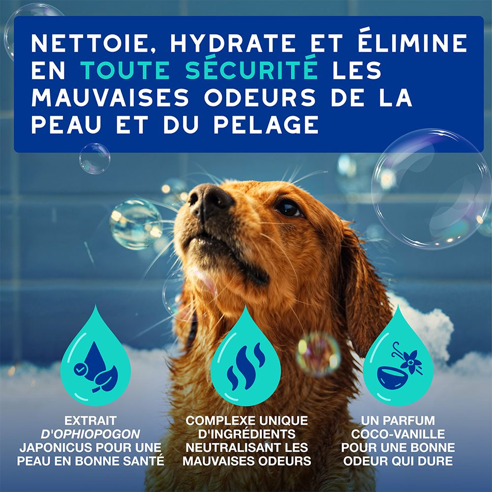 Chien Corgi dans une serviette. Texte : DOUXO Shampooing ultra-sûr pour votre chien. 97% d'ingrédients naturels.