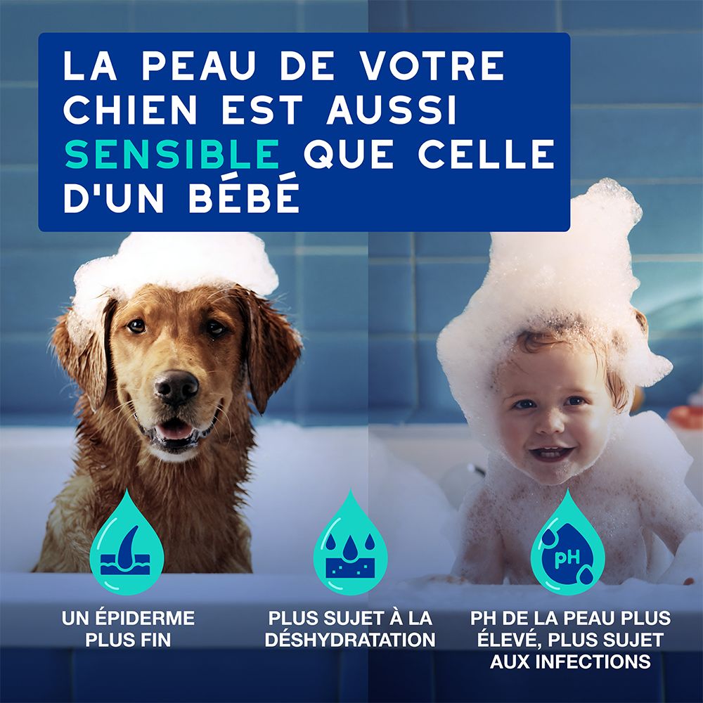 Flacon de shampooing bleu avec pompe. Texte : Pour un moment de soin et de plaisir avec votre animal.