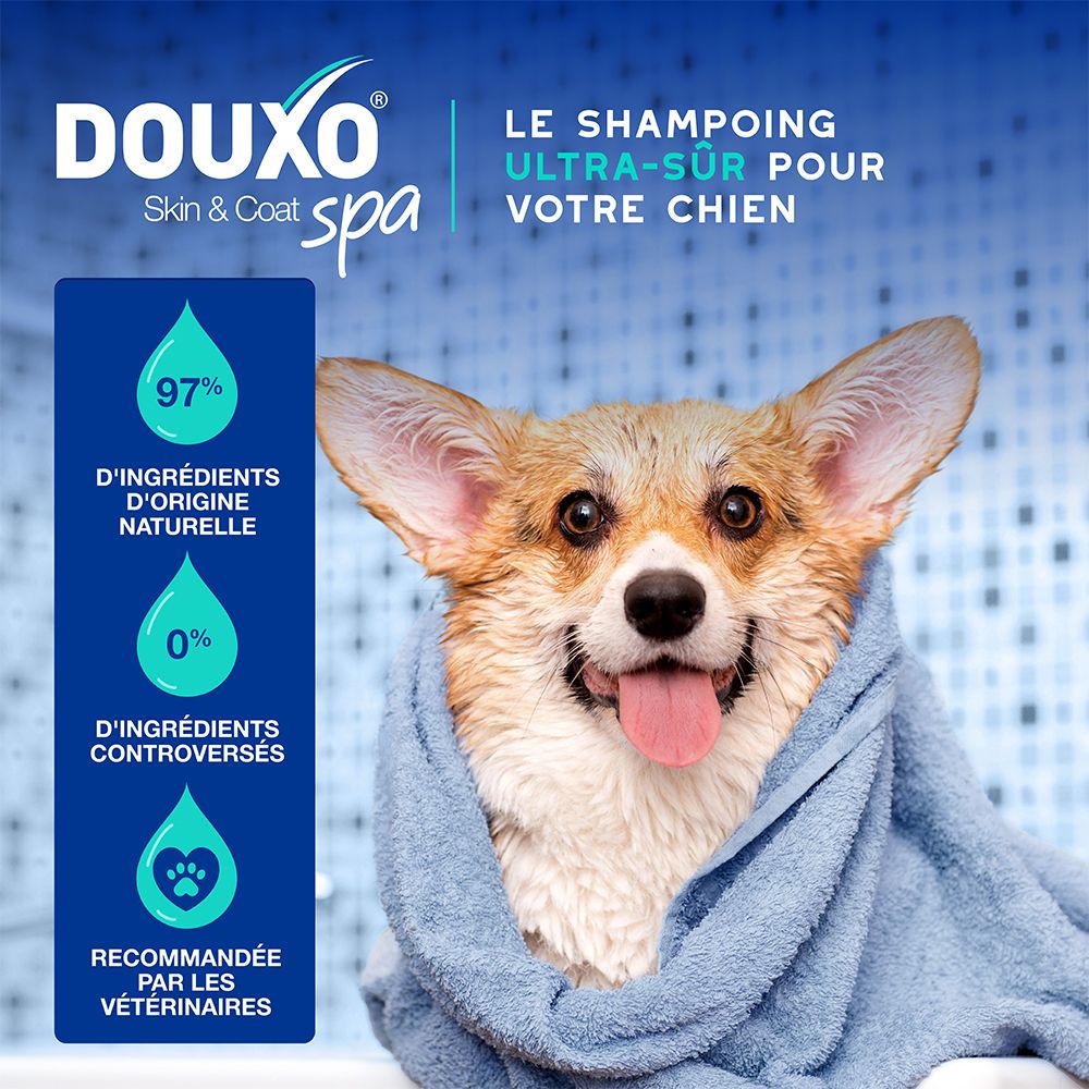 Trois chiens en différentes étapes de toilettage. Texte : Une peau saine et un poil brillant en 3 étapes.