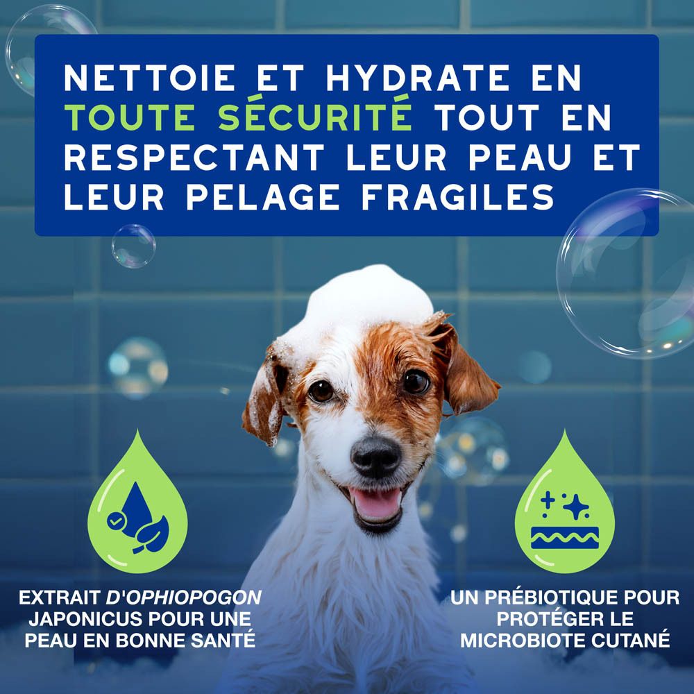 Shampoing Douxo Spa pour chiots, flacon bleu avec pompe verte.