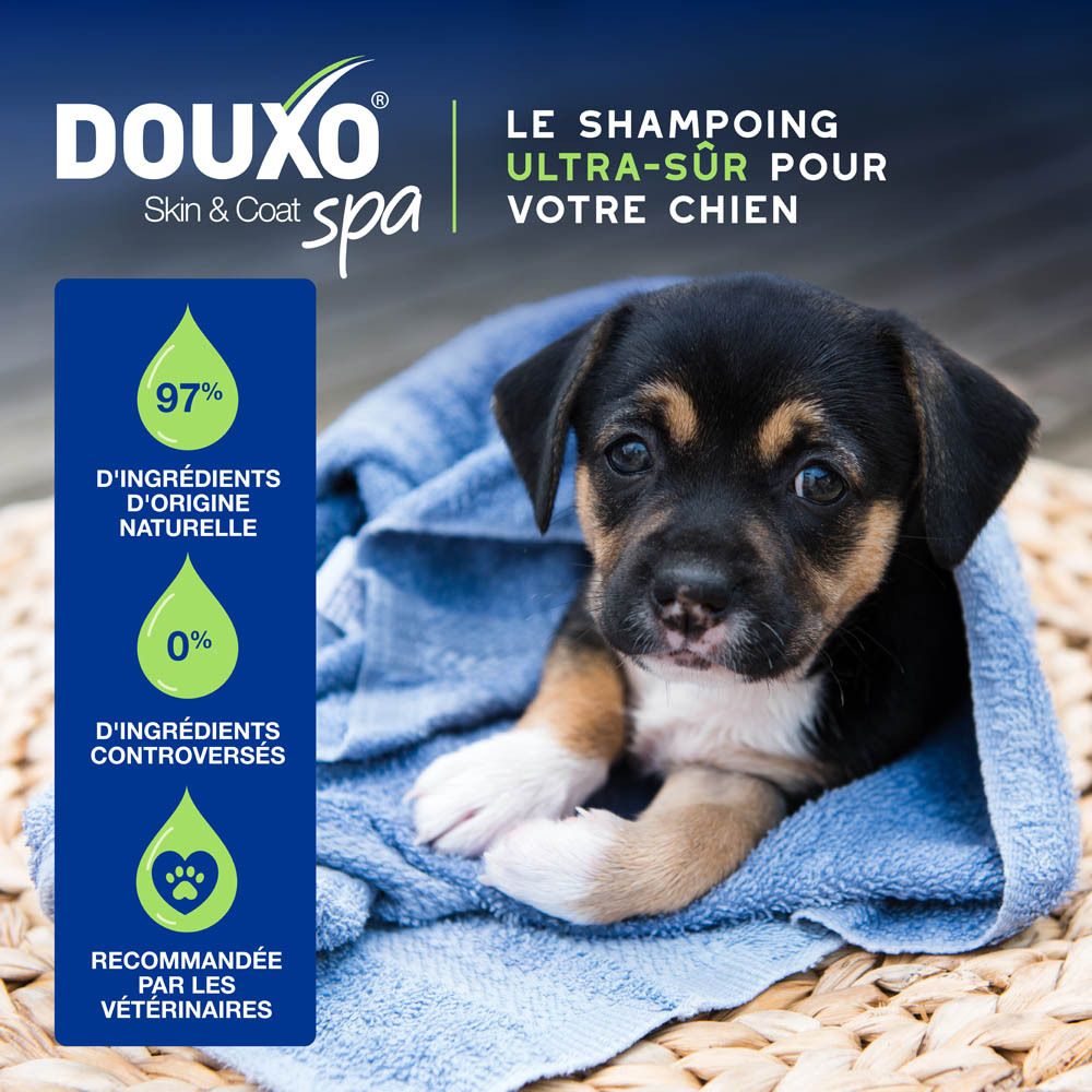 Arrière du flacon de shampoing bleu Douxo Spa avec instructions en français.