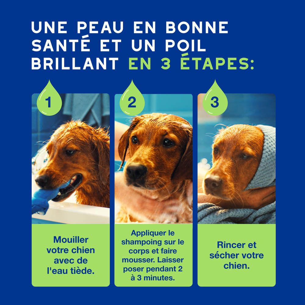 Vue latérale du flacon de shampoing bleu Douxo Spa avec texte français.