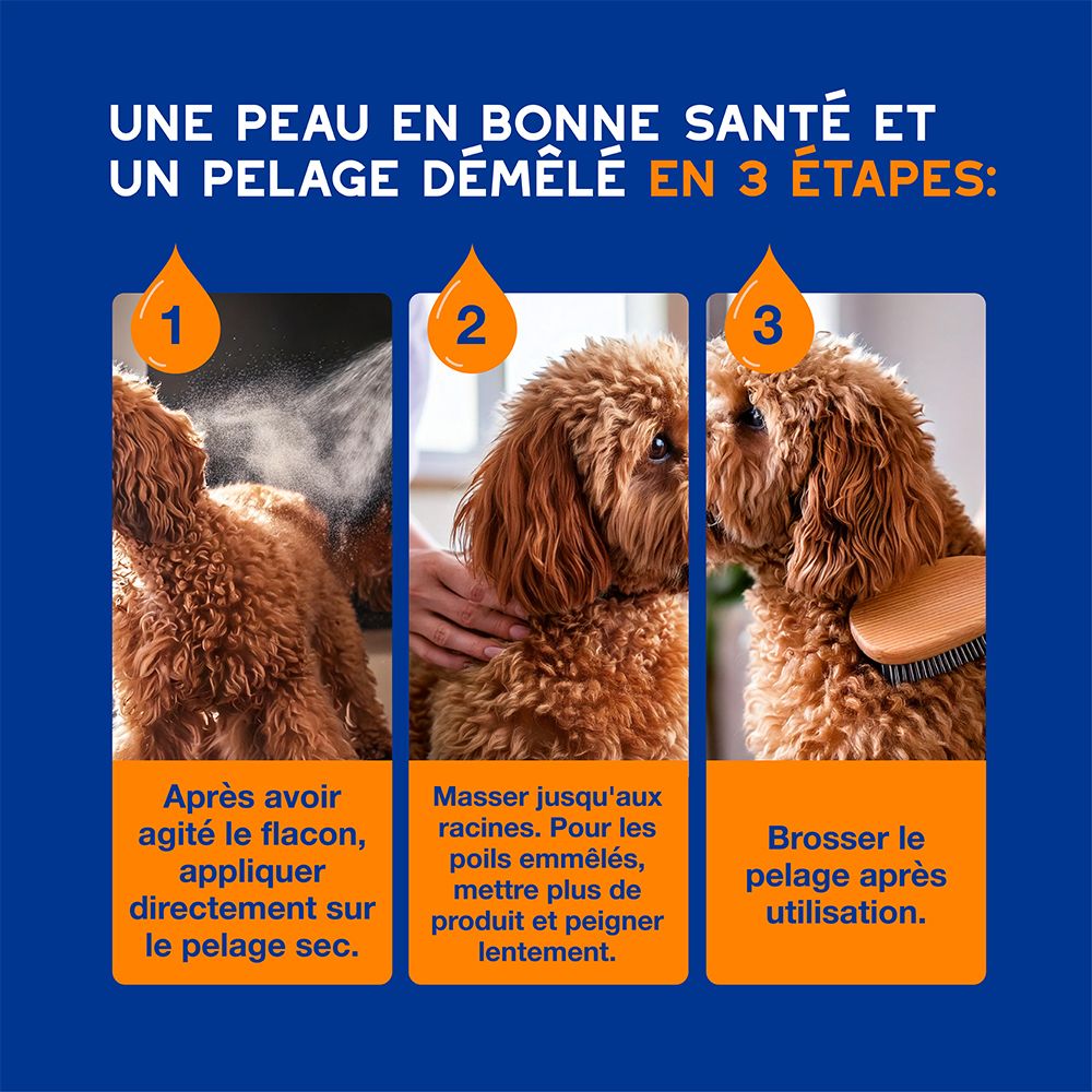 Arrière du flacon Douxo Skin & Coat Spa Ultra-safe Spray avec informations détaillées en français.