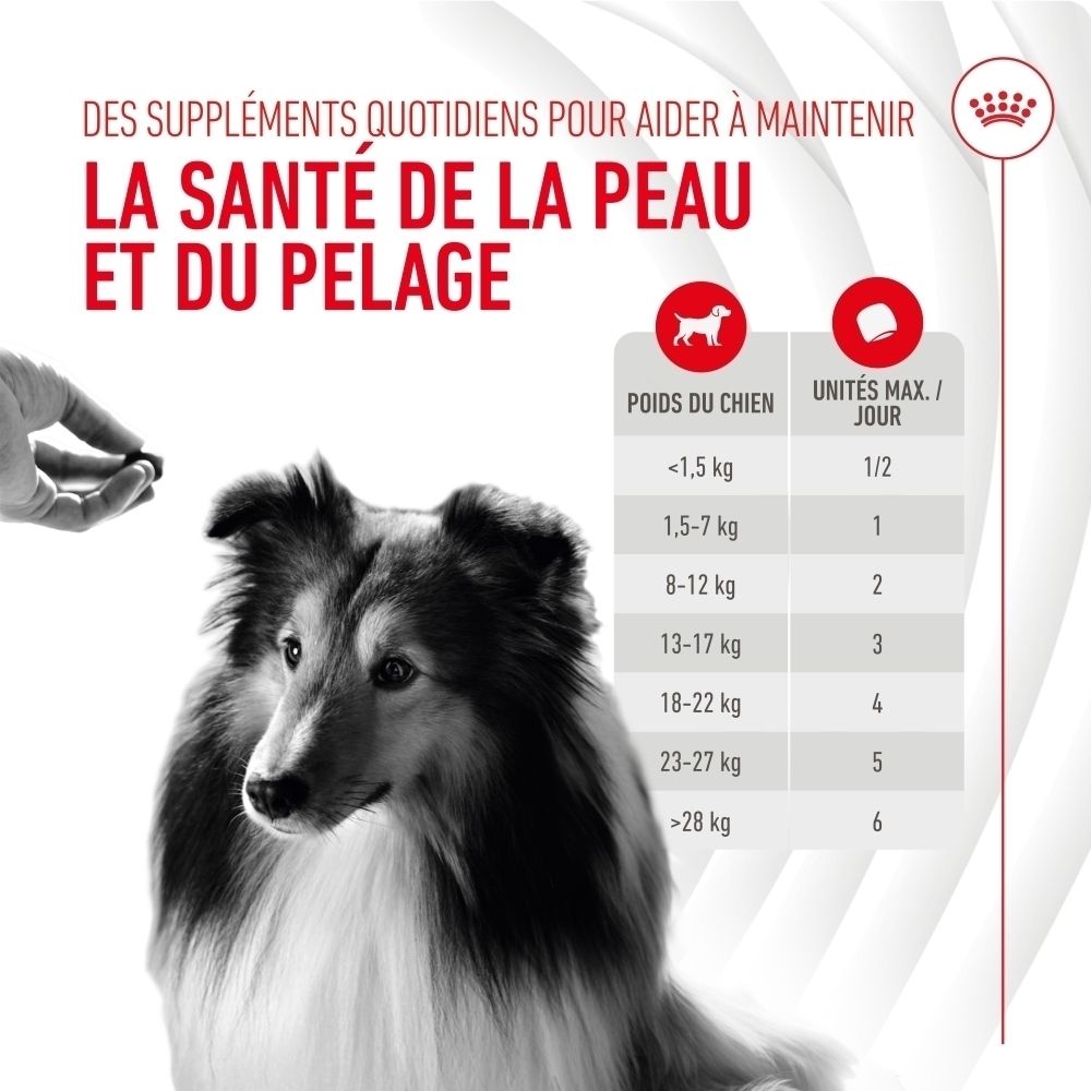 Hundefutter-Tabelle für Haut- und Fellgesundheit, nach Gewicht gestaffelt.
