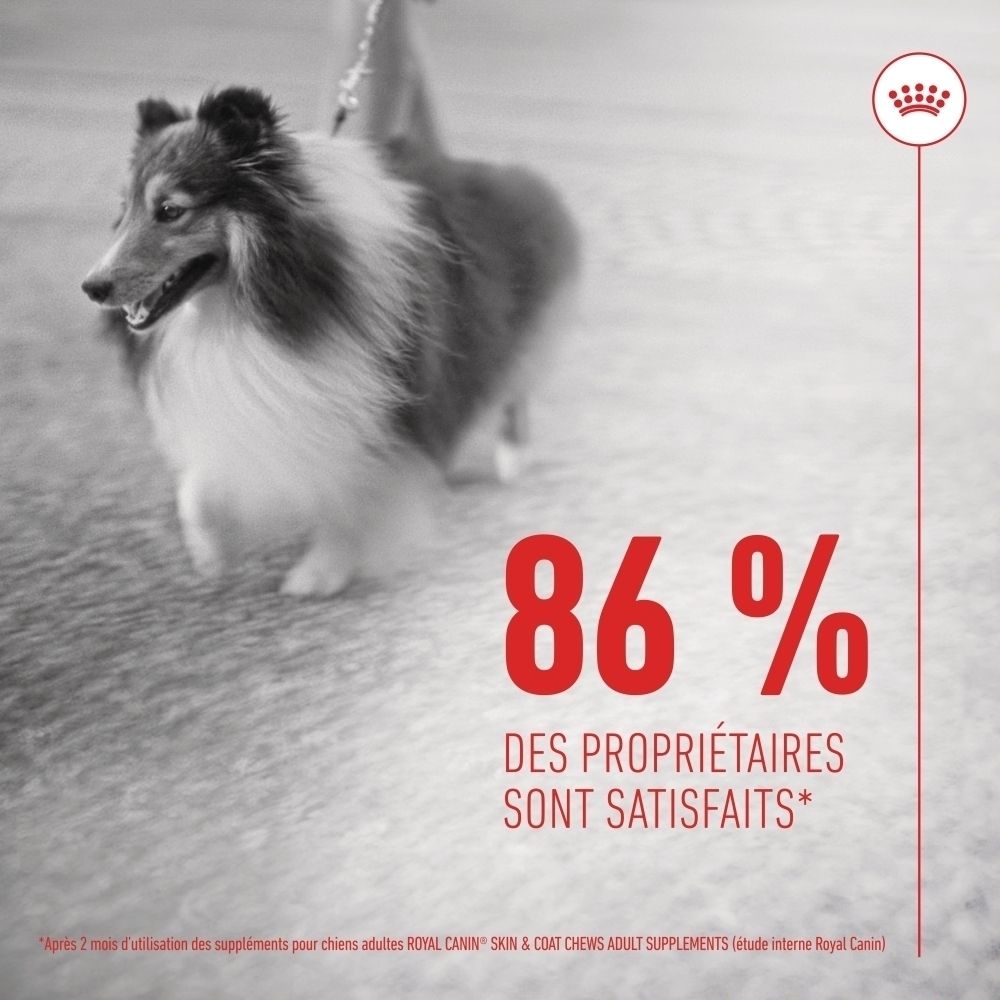 Ein Hund steht auf einem Teppich. Daneben steht "86% der Besitzer sind zufrieden".