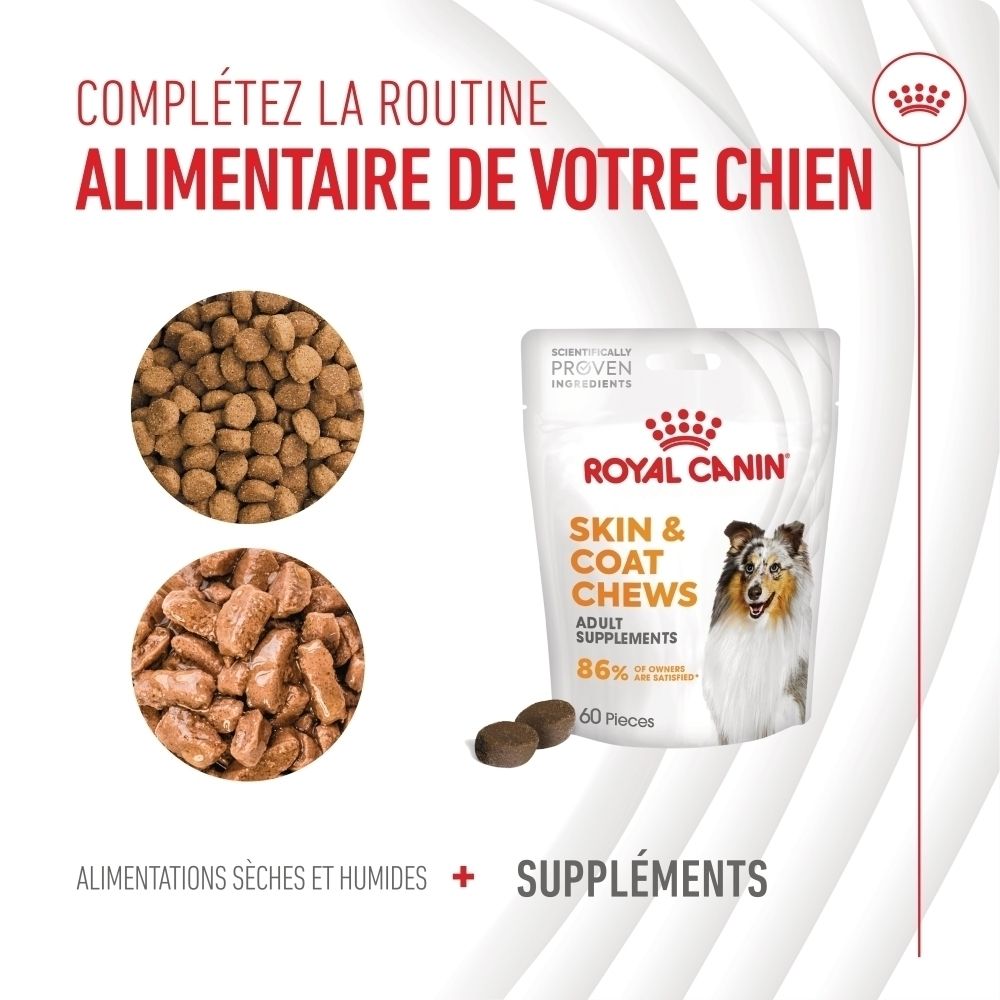 Royal Canin Skin & Coat Chews für Hunde. Beinhaltet eine Packung mit 60 Stück und zwei Kreise mit Hundefutter.
