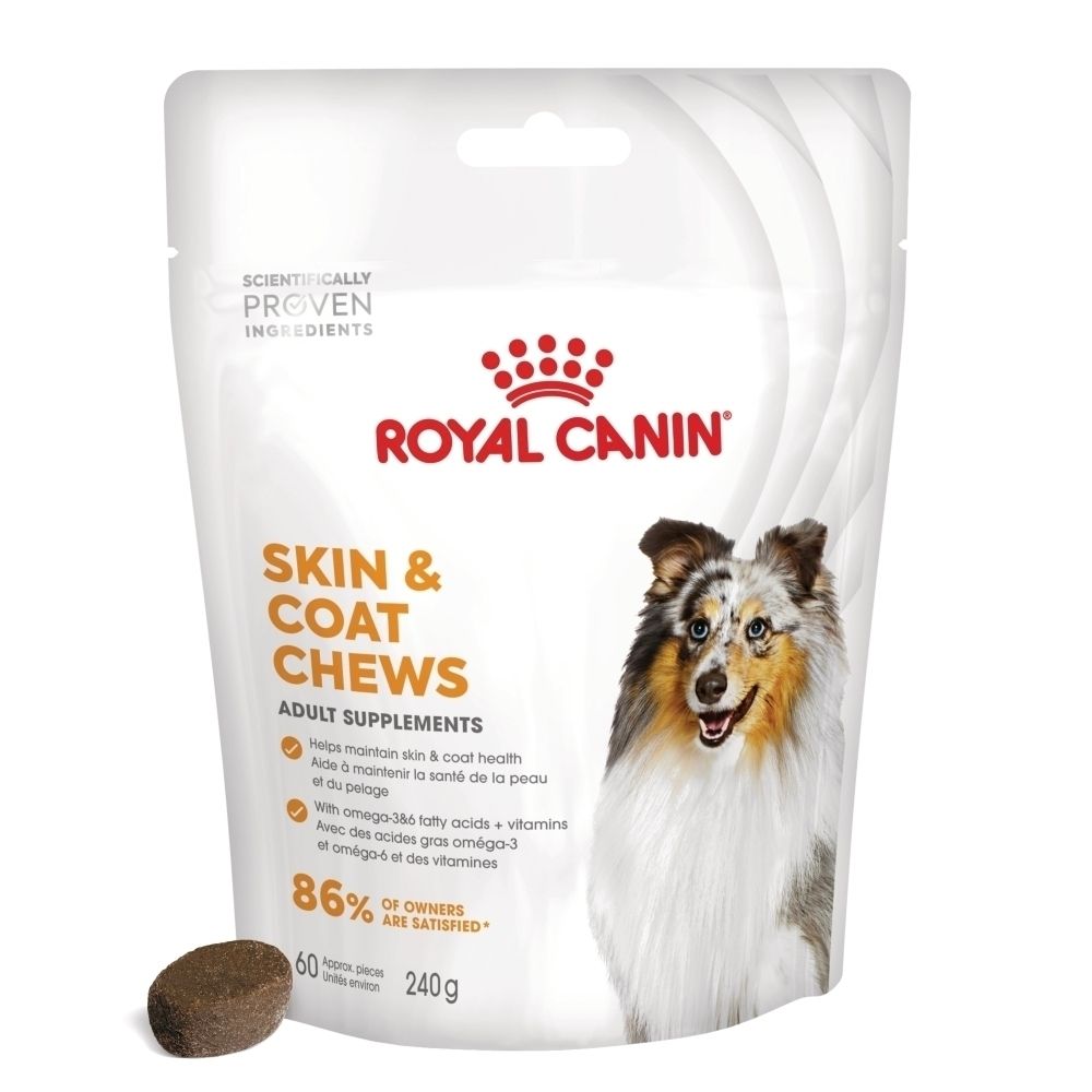 Royal Canin Skin & Coat Chews für Hunde. Beutel mit 240g Inhalt und einem einzelnen Chew.