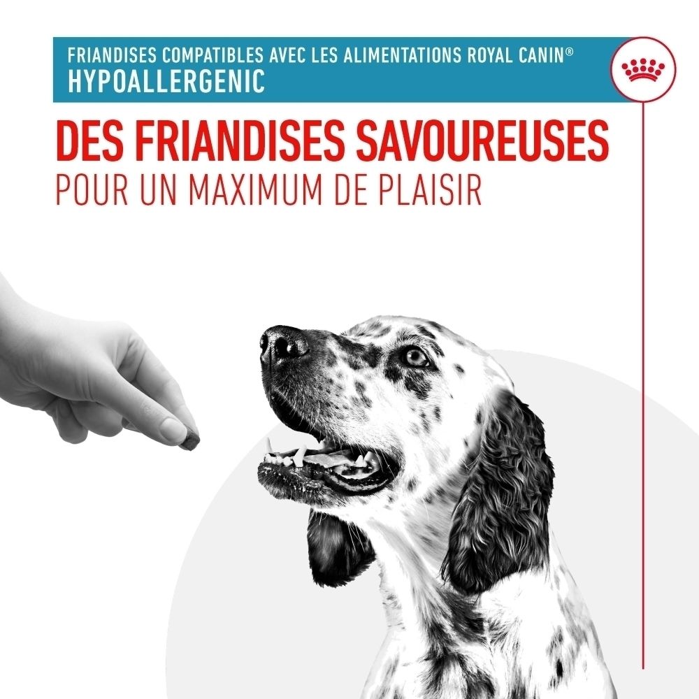 Ein Hund blickt auf ein Leckerli, das ihm von einer Hand gereicht wird. Hypoallergen.