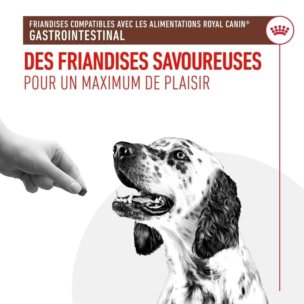 Ein Hund wird von einer Hand mit einem Leckerli gefüttert. Text: "Leckereien für maximalen Genuss".