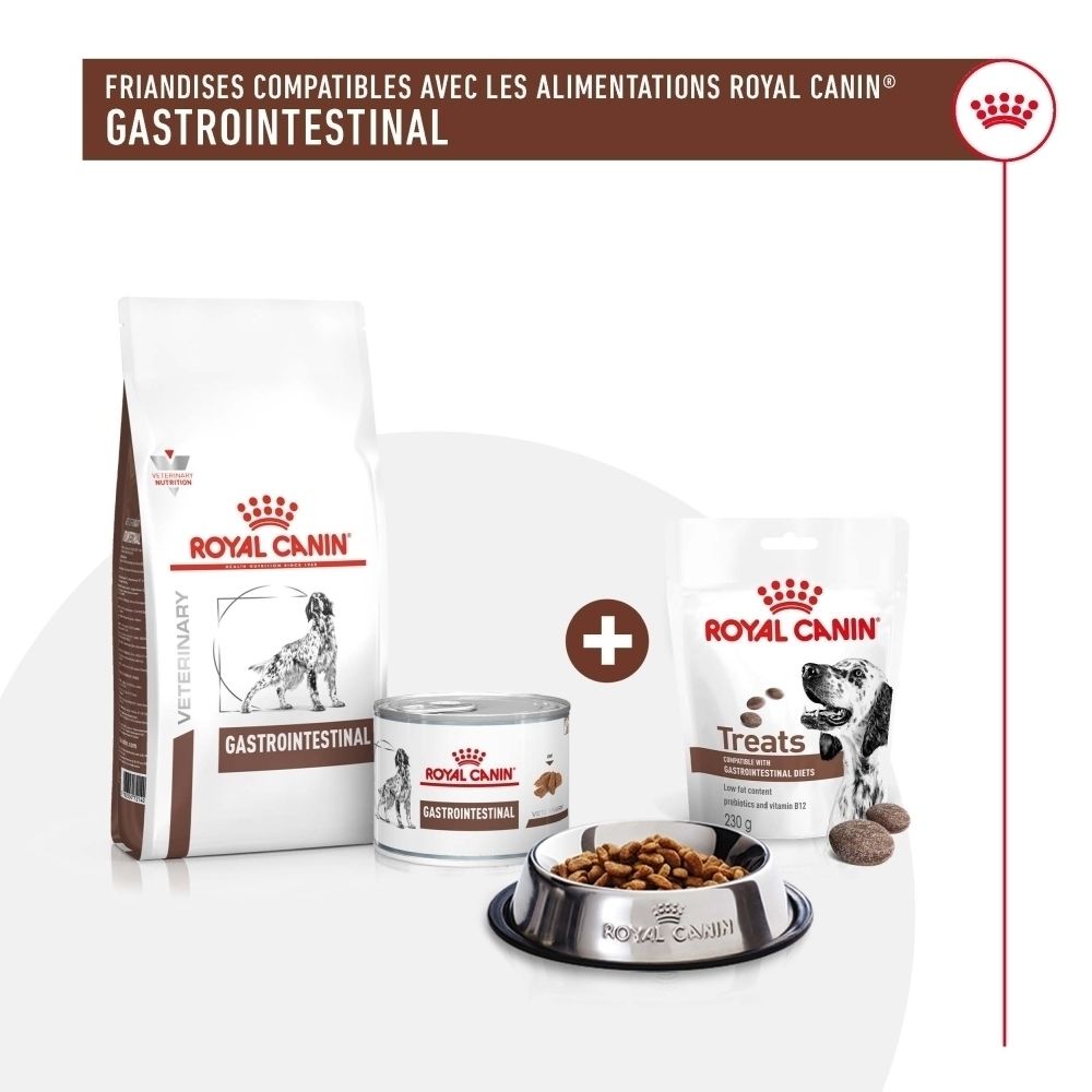 Royal Canin Gastrointestinal Hundefutter: Trockenfutter-Sack, Dose, Leckerli-Beutel und Futternapf.
