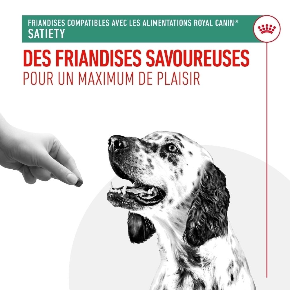 Ein Hund wird von einer Hand mit einem Leckerli gefüttert. Text: 'Des Friandises Savoureuses'.