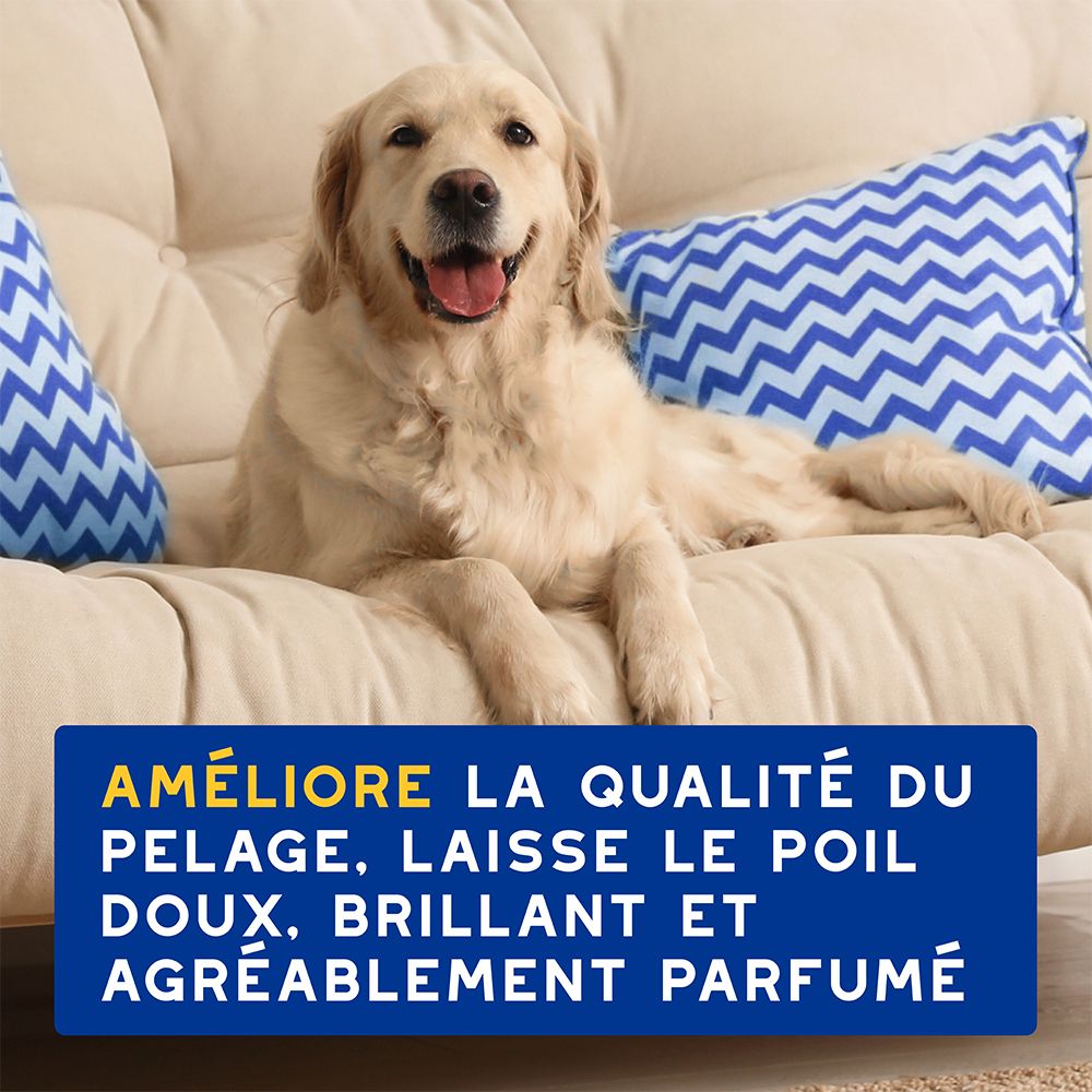 Chien sur un canapé. Texte: Améliore la qualité du pelage, laisse le poil doux, brillant et agréablement parfumé.