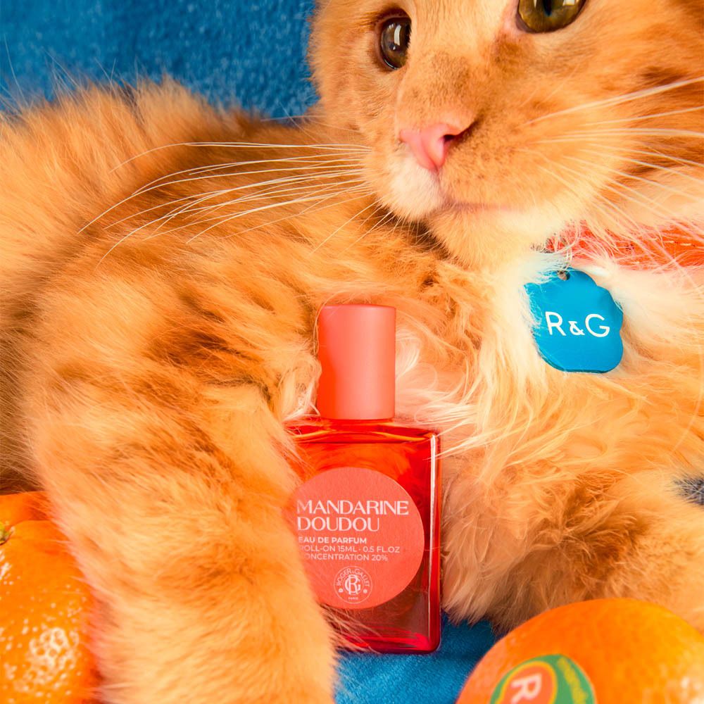 Chat avec flacon. Flacon: Mandarine Doudou Eau de Parfum. Orange. Étiquette bleue R&G.