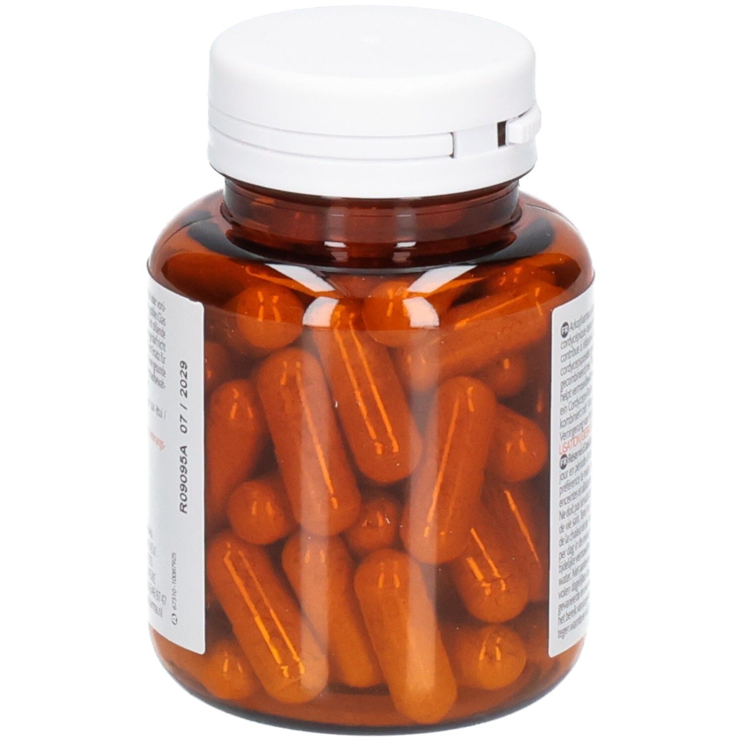 Durchsichtige Pillendose mit vielen Arkogélules Cordyceps Kapseln.