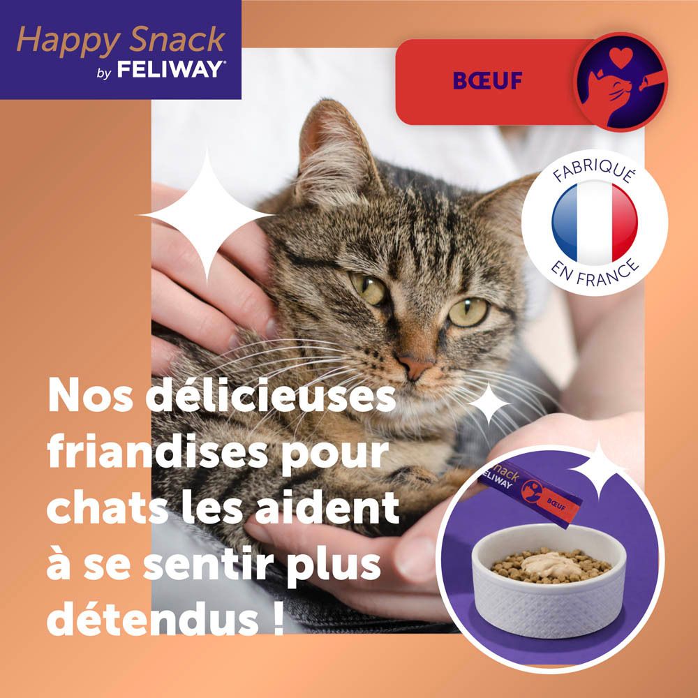 Katze mit Rinder-Snack von Feliway, hergestellt in Frankreich.