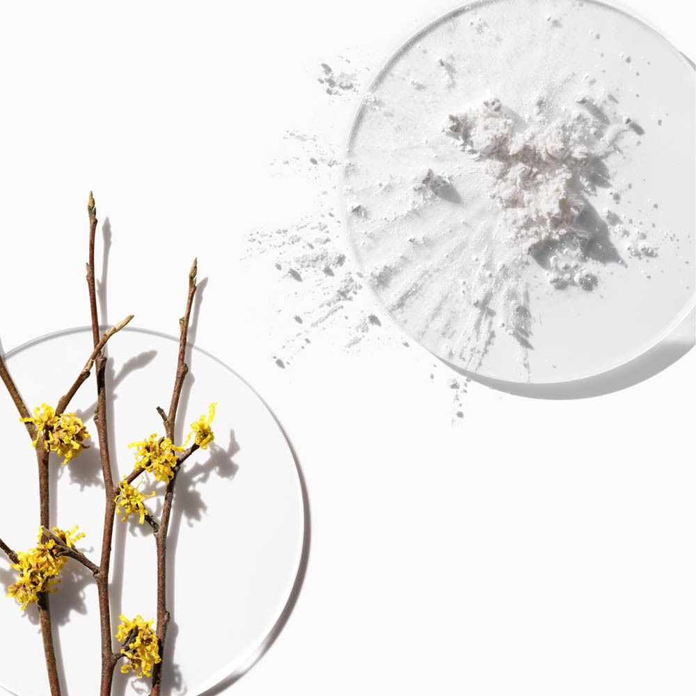 Weißes Pulver auf einer Glasplatte, daneben Zweige mit gelben Blüten.