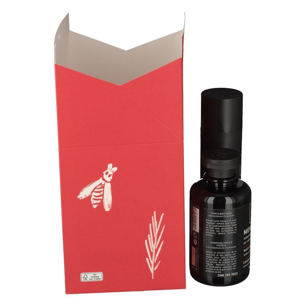 Schwarze Flasche neben roter Geschenkbox. Auf der Box: Biene und Zweig-Illustrationen. Logo: Apivita.