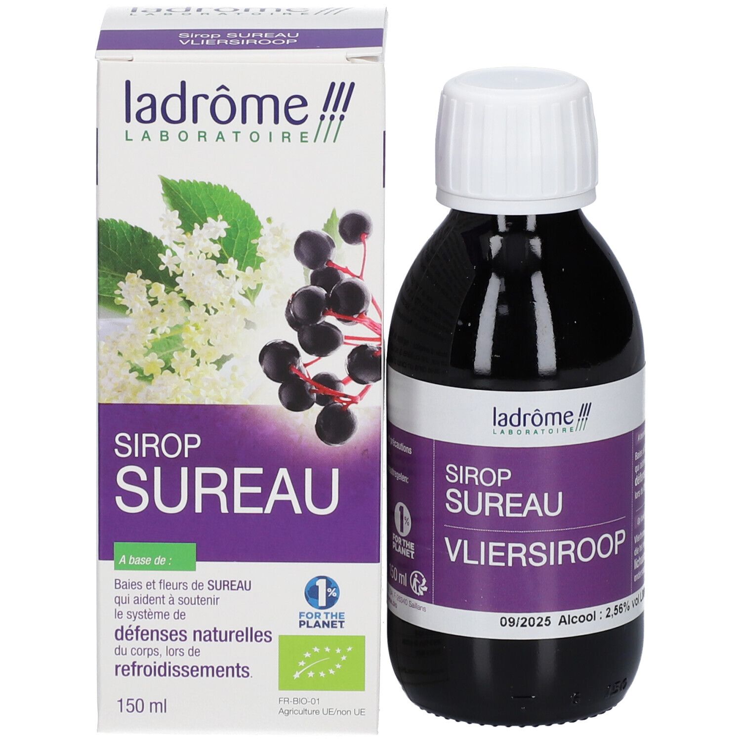 Ladrome Holunderblütensirup