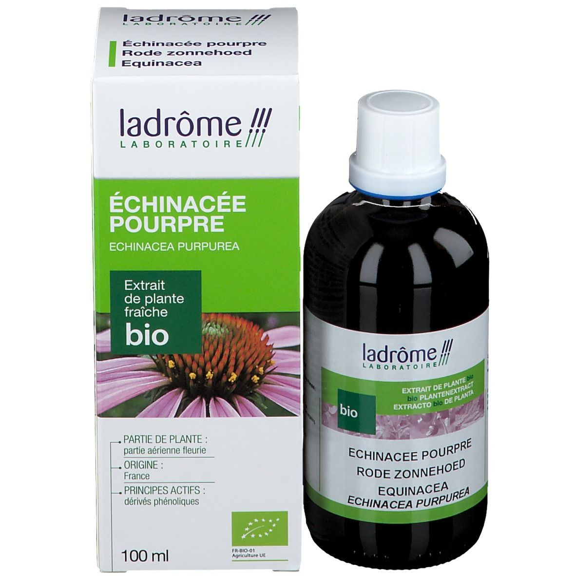 Braune Flasche und Schachtel. Flasche mit weißem Deckel. Schachtel mit Text und Logo. Produktname: Echinacea Purpurea.