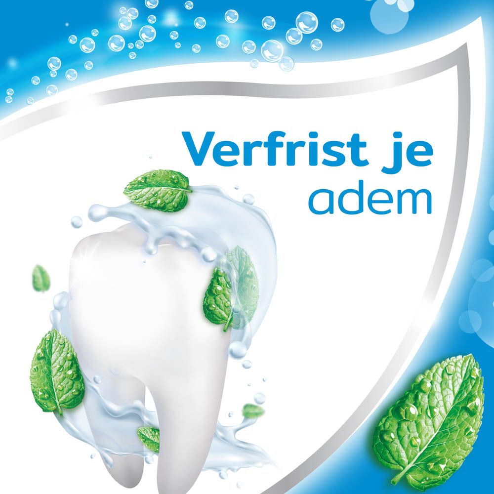 Boîte de dentifrice. Inscription : freshmint.