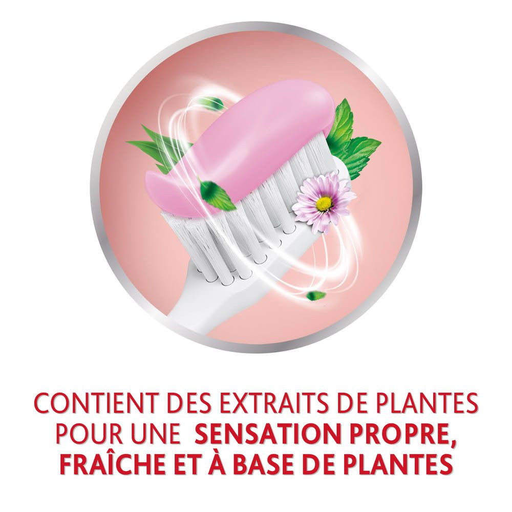 Brosse à dents avec dentifrice rose et herbes. Texte: Contient des extraits de plantes pour une sensation propre et fraîche.