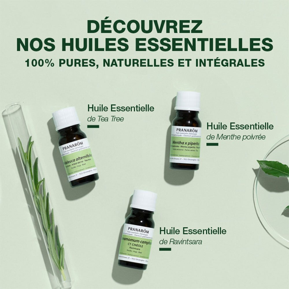 Trois flacons d'huiles essentielles. Tea Tree, Menthe poivrée et Ravintsara. Feuilles vertes en arrière-plan.