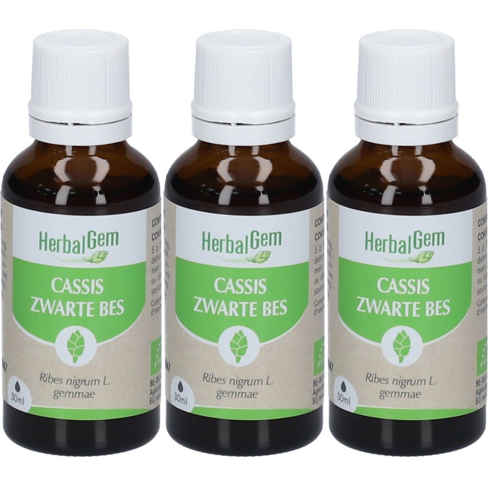 HerbalGem Bio Schwarze Johannisbeere Knospen TRIO