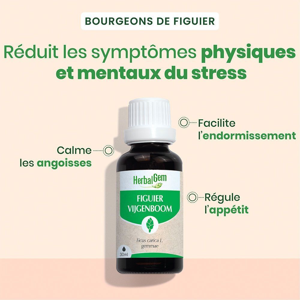Flasche HerbalGem Feigenbaum Bio-Extrakt mit Hinweisen zu beruhigenden Eigenschaften und Appetitregulierung.