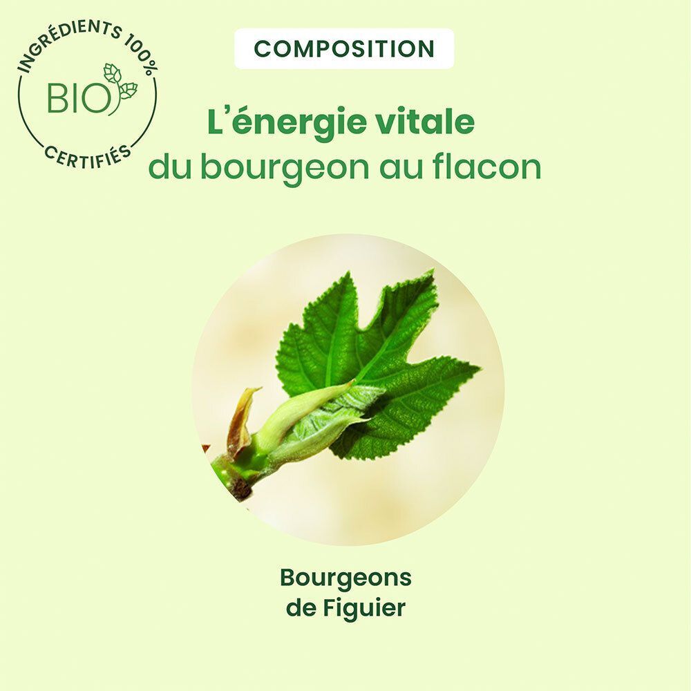 Flasche HerbalGem Feigenbaum Bio-Extrakt mit Nahaufnahme eines Feigenknospen- und Blattmotivs.