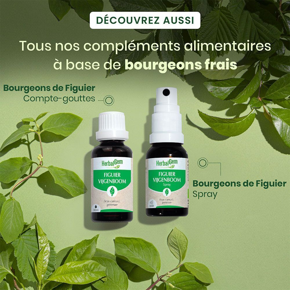 Flasche und Sprühflasche HerbalGem Feigenbaum Bio-Extrakt neben grünen Blättern.