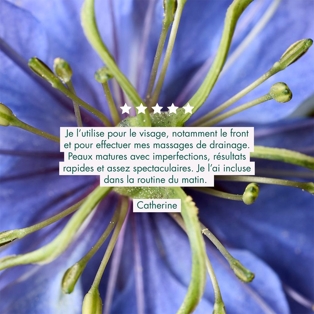Ein Ausschnitt einer blauen Blüte mit grünen Stempeln und Pollen. Text überlagert.
