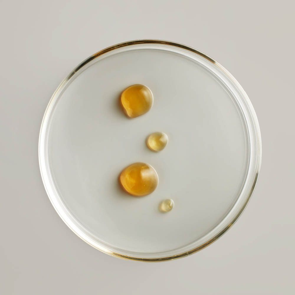 Klare Petrischale mit vier gelben Tropfen. Flüssigkeit.
