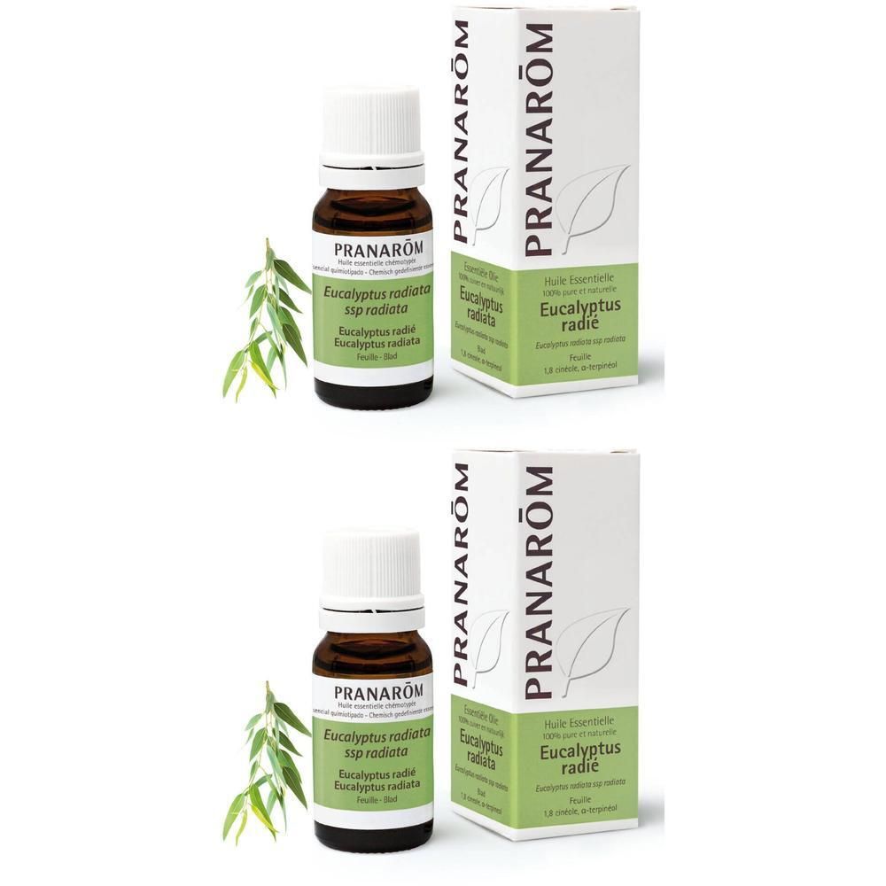 Braune Glasflasche und Karton von PRANAROM Eukalyptus radiata. Flasche mit weißem Deckel und Etikett. Karton mit Logo und Produktnamen.