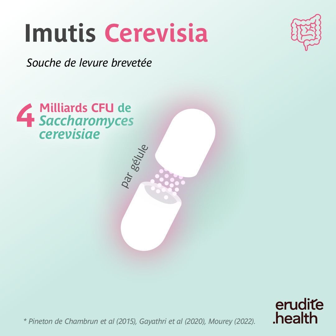 Imutis Cerevisia: Brevetierte Hefestamm. 4 Milliarden CFU Saccharomyces cerevisiae pro Gélule.