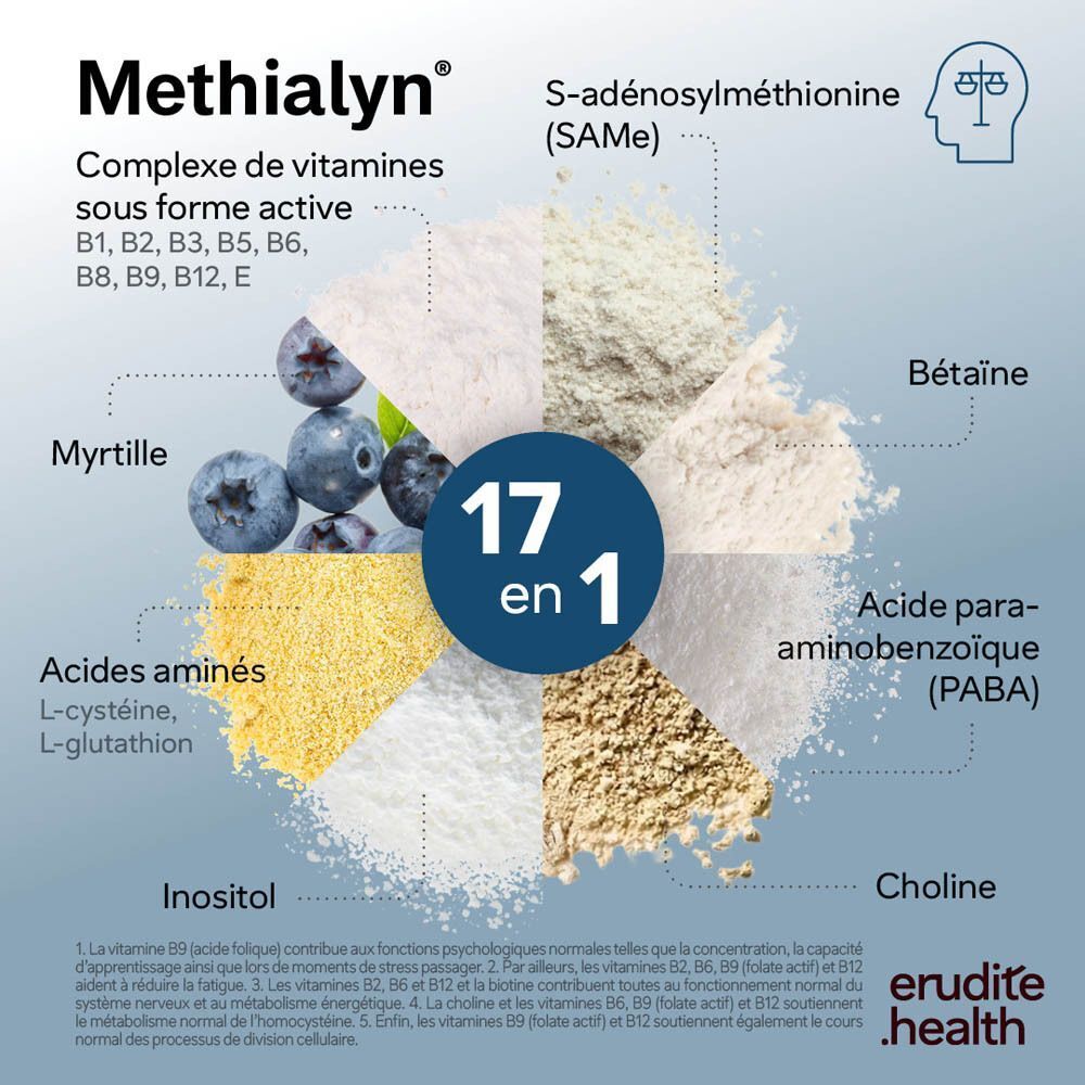 Packshot von Methialyn, einem Komplex aus Vitaminen, mit Darstellung von Inhaltsstoffen und Dosierung.
