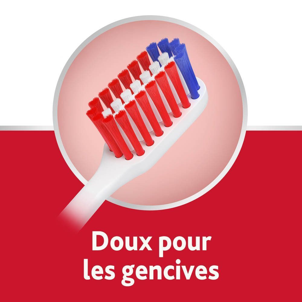Gros plan de la tête de brosse. Soies rouges et bleues. Texte : Doux pour les gencives.