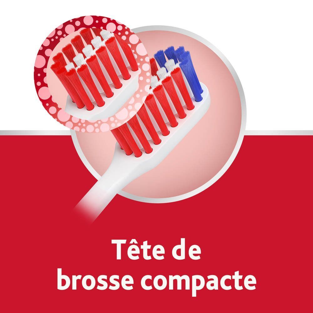 Gros plan de la tête de brosse. Soies rouges et bleues. Texte : Tête de brosse compacte.