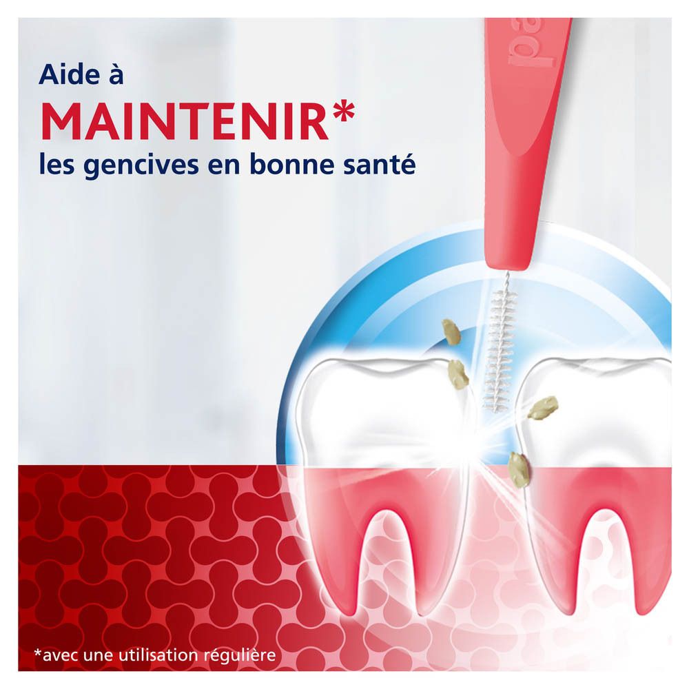 Dents et brosse interdentaire. Texte : Aide à maintenir les gencives en bonne santé.