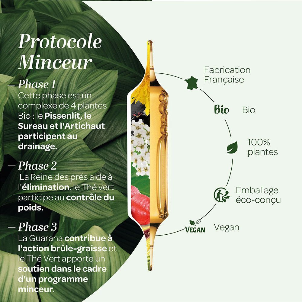 Dos de l'emballage. Texte et informations sur le produit et ses ingrédients. Design vert et blanc.