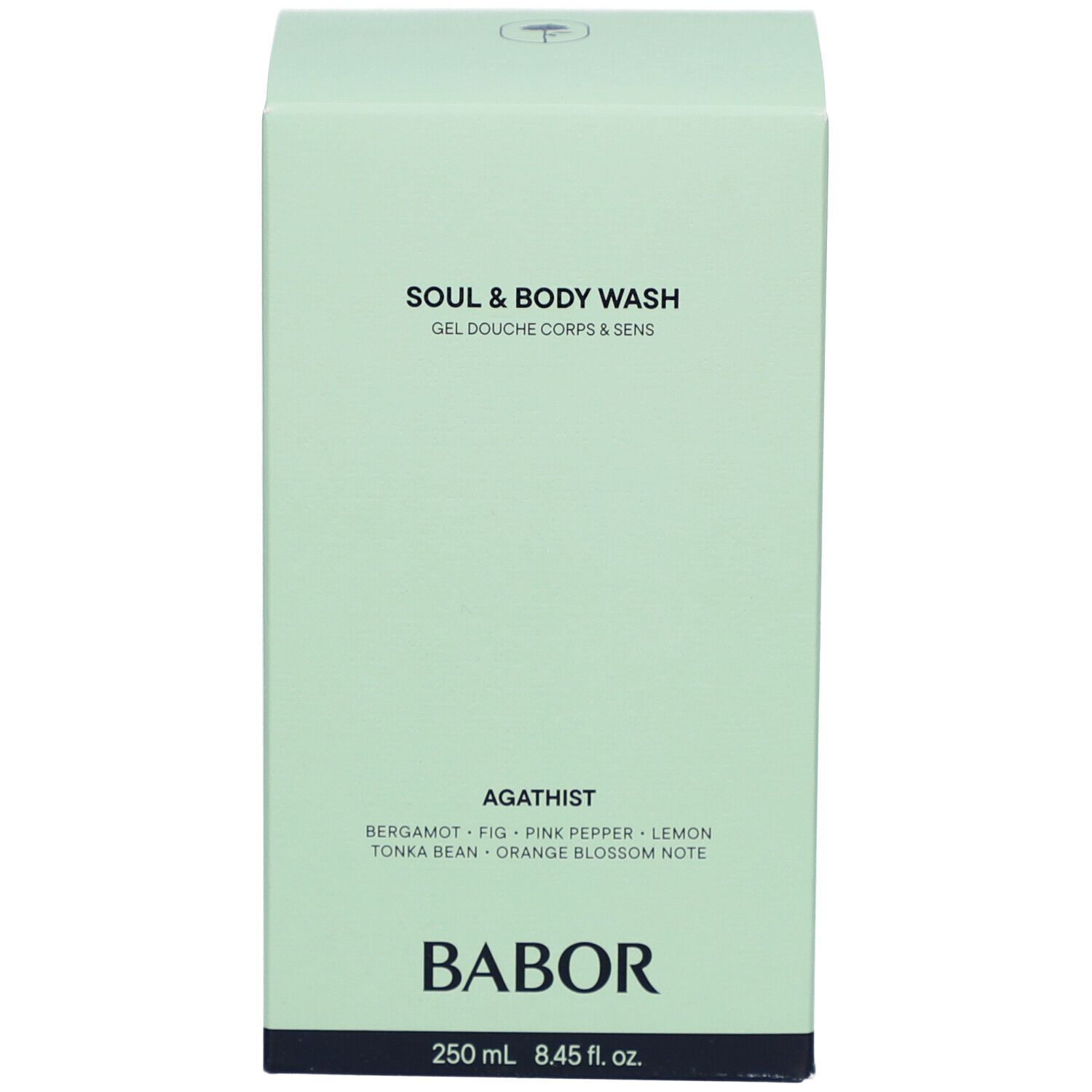 Hellgrüne Schachtel. Aufschrift: Soul & Body Wash Agathist, Babor.