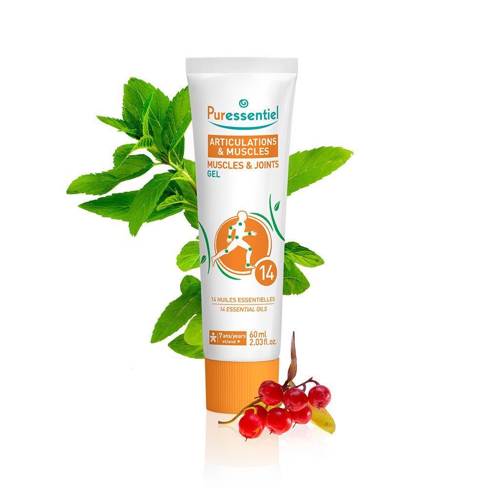 Tube mit Produktname und Logo. Gel für Gelenke und Muskeln. Dekoration mit Blättern und Beeren.