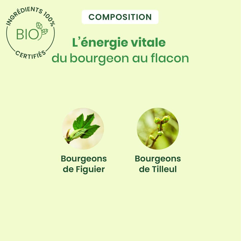Un flacon de spray HerbalGem NOCTIGEM. Logos et texte sur fond vert.