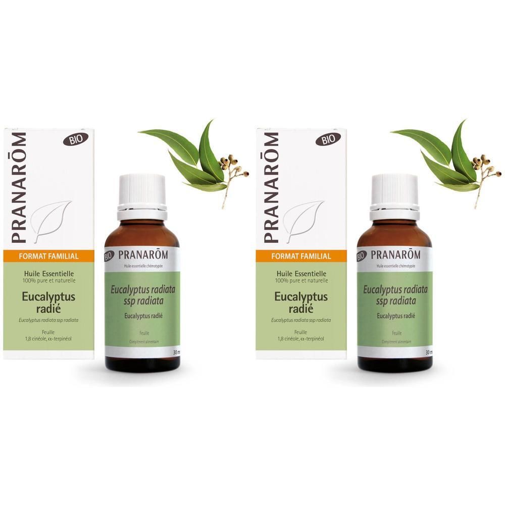 Zwei Flaschen und Verpackungen von Pranarom Eukalyptus radiata. BIO-Zertifizierung. Blätter-Dekoration.