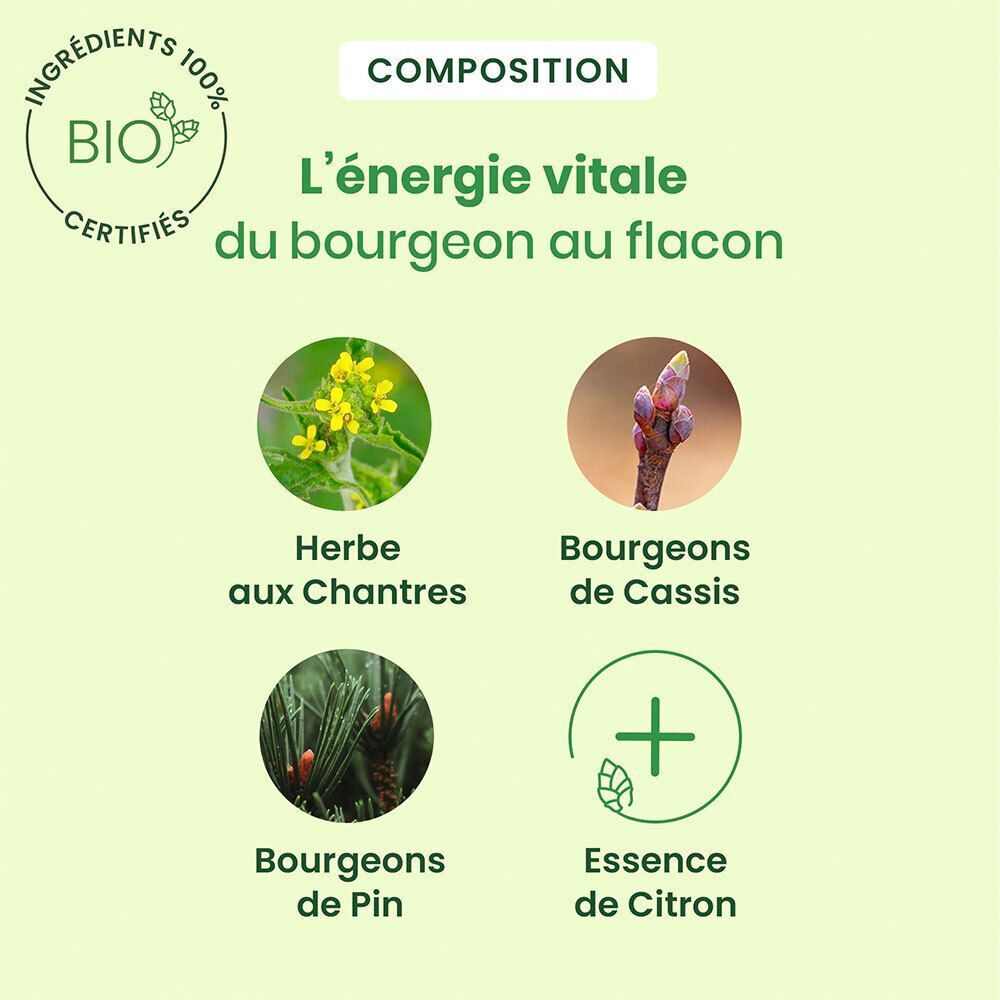 Graphique avec ingrédients: Herbe aux Chantres, Bourgeons de Cassis, Bourgeons de Pin, Essence de Citron.