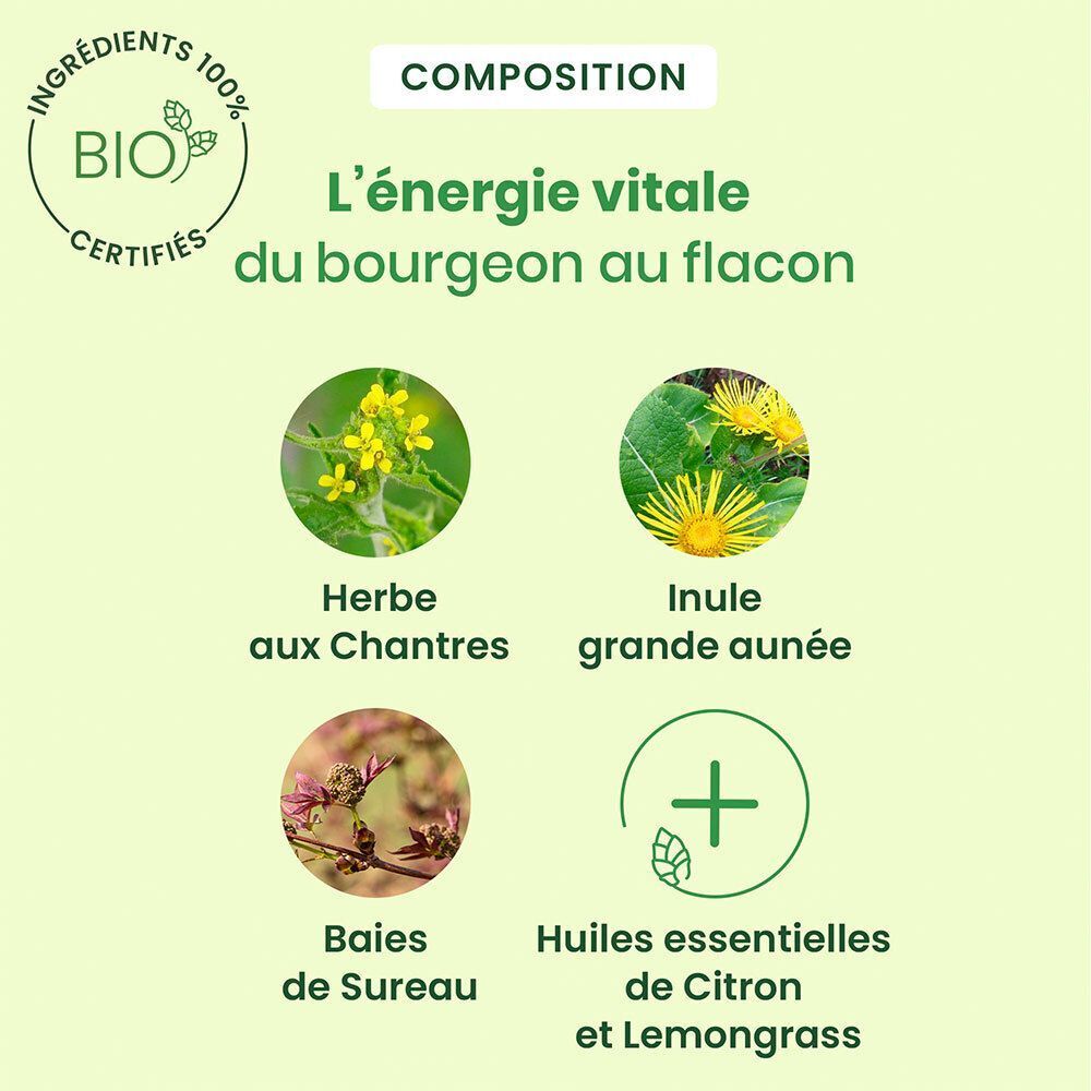 Illustration des ingrédients. Texte: Herbe aux Chantres, Inule grande aunée, Baies de Sureau, Huiles essentielles.