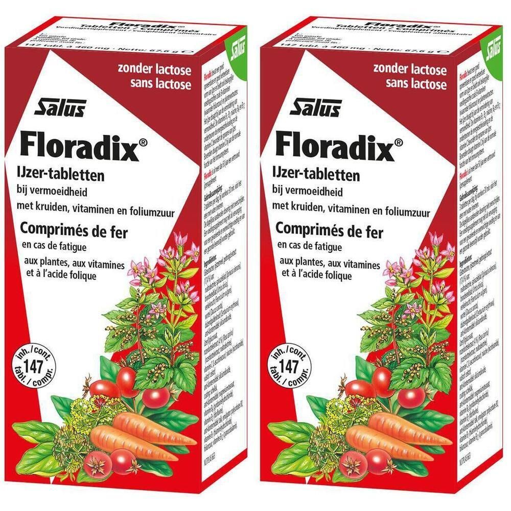 Zwei Kartons Floradix® Eisentabletten. Rote und weiße Verpackung mit Produktnamen und Illustrationen von Gemüse und Kräutern.