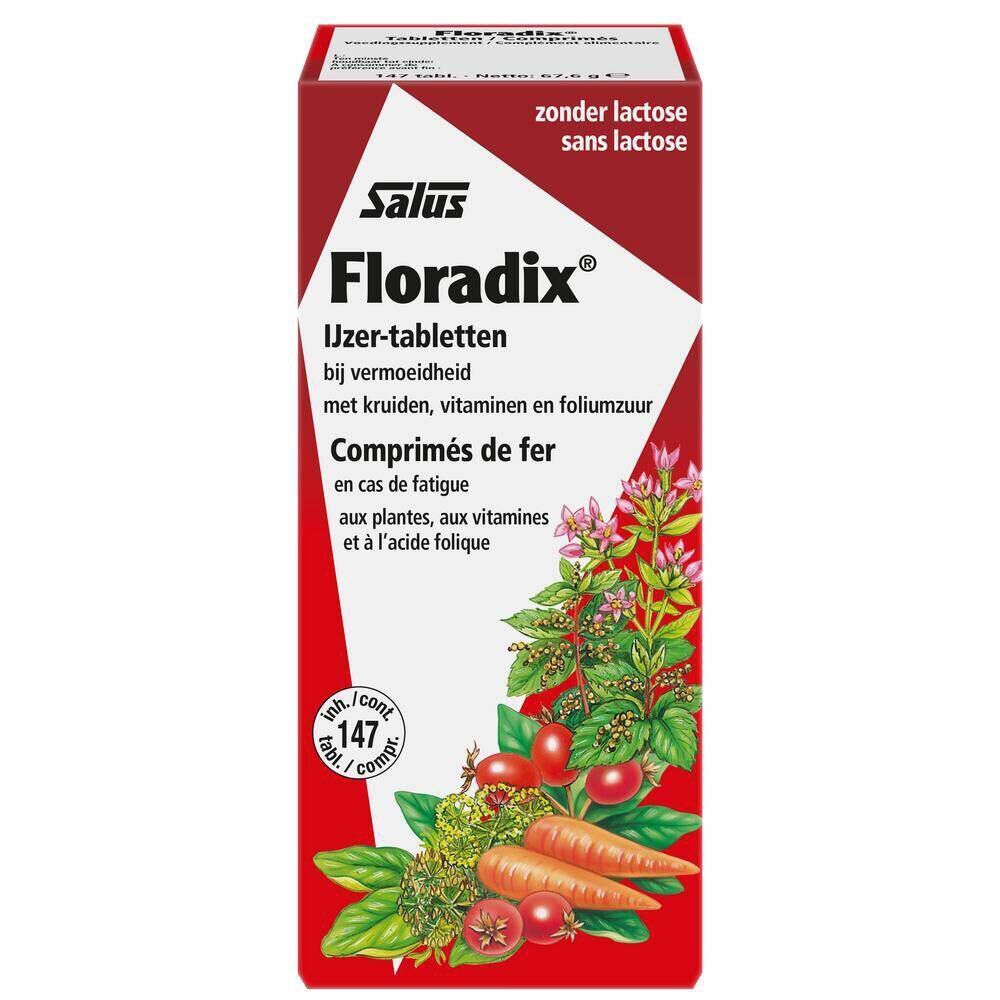 Eine einzelne Packung Floradix® Eisentabletten. Rote und weiße Verpackung mit Produktnamen und Illustrationen von Gemüse und Kräutern.