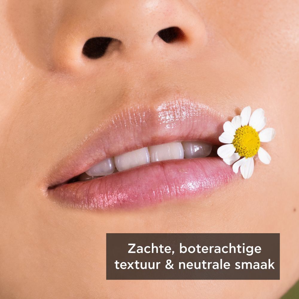 Nahaufnahme von Lippen mit einem Lippenbalsam und einer Kamillenblüte. Weiche, buttrige Textur, neutraler Geschmack.