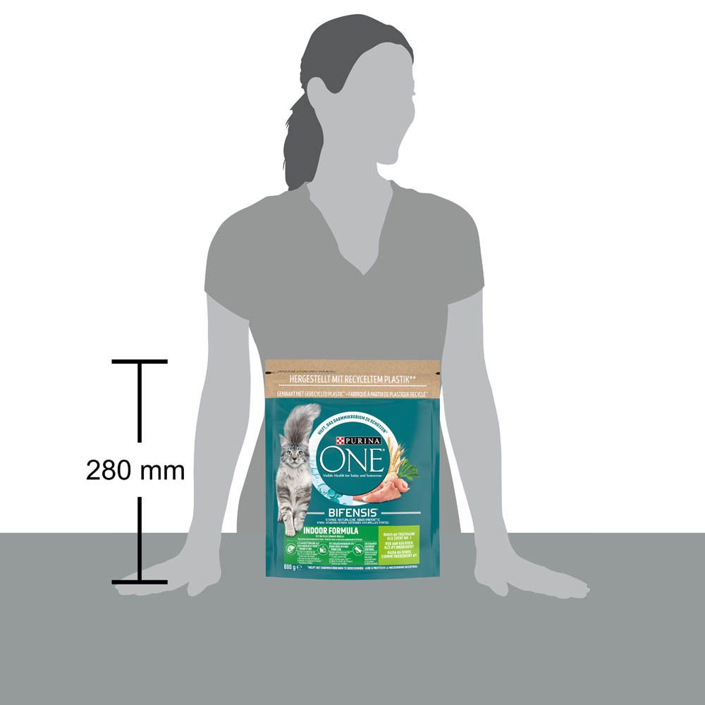 Purina One Katzenfutter, 800g Beutel mit Huhn und Vollkorn. Vorderseite mit Katze und Produktinformationen. Höhe 280 mm.